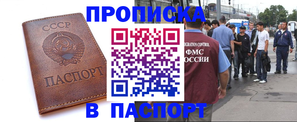 временная регистрация поиск в Бийске